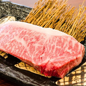 A5N䋍 T[CXe[Li2j Y uh p[eB BBQ o[xL[ ̓ ̓  Ε Mtg v[g