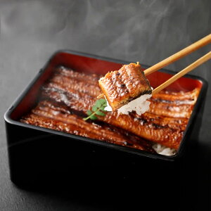 ȂĂ3Zbg Y BY Ȃ Ă Jbg  V EiM ̓ ̓  Ε Mtg v[g