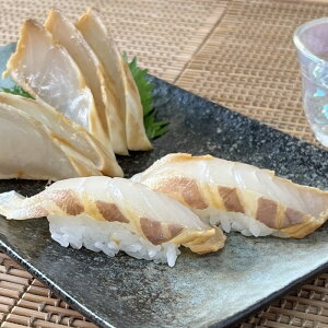 ^ⓒЂl QY ^ Fa t hg Ђ t | {B CN  erЉ ΕMtg