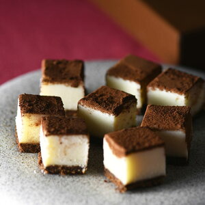 `ReB~X 25 o^C XC[c v[g Mtg 蕨 Ag[kJ[ { F`R ΕMtg