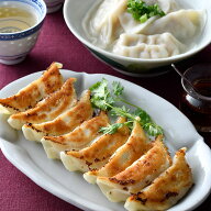 【宇都宮 餃子専門店 香蘭】冷凍生餃子(24個×2箱) ぎょうざ ギョウザ こうらく 国産 豚肉 餃子パーティ …