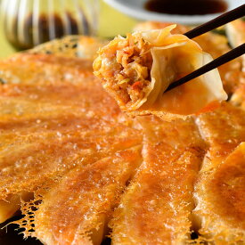 うまいもん空海 旨辛餃子 60個入 ぎょうざ ギョウザ 浜松餃子 静岡 国産 豚ひき肉 テレビ紹介 王様のブランチ 御歳暮ギフト