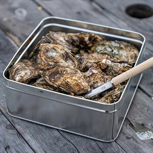LY ktỹJJĂiⓀjI 2kg(20`30jJL y 񂩂Ă  BBQ o[xL[ AEghA y Ăy 