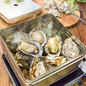 LY ktỹJJĂiⓀjI 2kg(20`30jJL y 񂩂Ă  BBQ o[xL[ AEghA y Ăy 