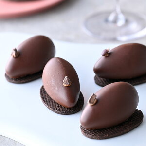 pN[ `R[g  Sola Factory ~V XC[c v[g o^C { F`R p J `R Mtg 