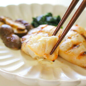 Ys[`V[NIݖЂi5PjVLU {錧 Ί n O  ̓ ̓ Mtg ΕMtg