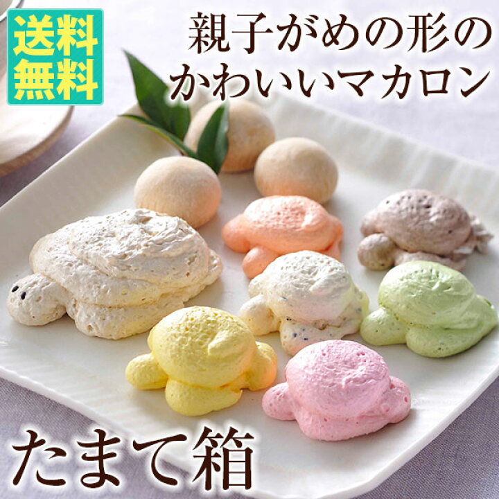 楽天市場 海がめマカロン たまて箱 送料無料 おとなの週末 お取り寄せ倶楽部