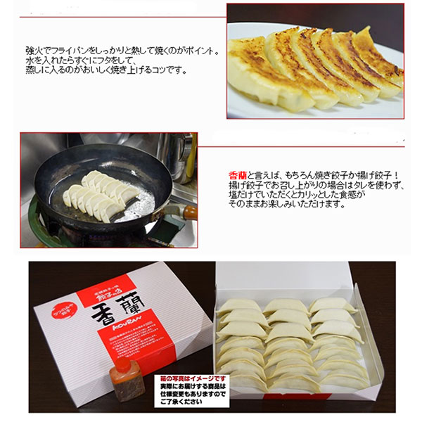 餃子専門店 香蘭 餃子48個（24個×2） 送料無料 宇都宮 餃子