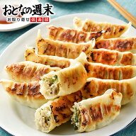 宇都宮餃子館人気の3種セット 48個（16個×3種） 御歳暮ギフト