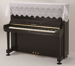 WK[h[X@sAmJo[@TL-2@AvX@蔠