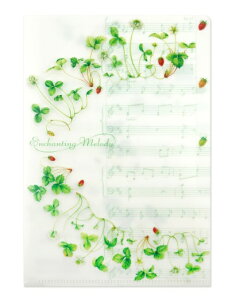 CF-147�@B6�N���A�t�H���_�@�~���[�W�b�N�C�`�S�@�t�����e�B�A