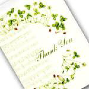 ~[WbNC`S@Thank you@~jJ[h@MC-53@teBA@@蔠