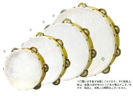 ゼンオンタンブリン　タンバリン　ZTB−10　10インチ写真4　音手箱　全音