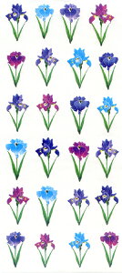 JP571@aV[@Ҋ@VEu4@XebJ[t@@@蔠