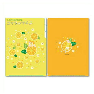 Rbṽt`q NAt@C3|Pbg A