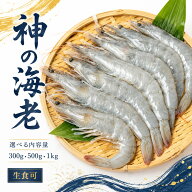 まぐろや 神の海老 20/30 有頭 選べる 300g 500g 1kg 生食用 刺身 冷凍 バナメイエビ エビ 海老 海水養殖…
