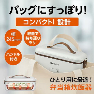 ъ ^ lp ЂƂ肳ܗpٓъ F ЂƂ炵p   ߋ@\t 13 ^ lp Ă Ԓ  Eł