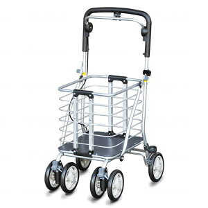 A~J[g A~SM-II No.36 O s ⏕ VbsOJ[g s  {bAH pi