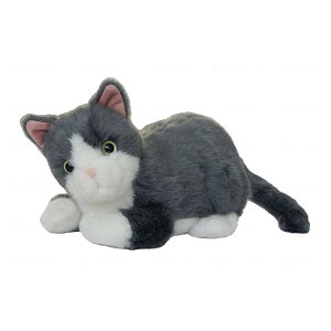 R~jP[V{bg 点~C FmǑ΍ pi Qnd@  v[g Mtg