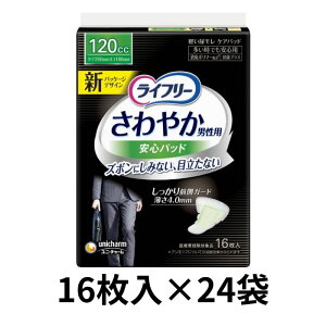 Ct[ jp ₩pbh łS 120cc 16/ ނ AƂpbh Apbg A z pi