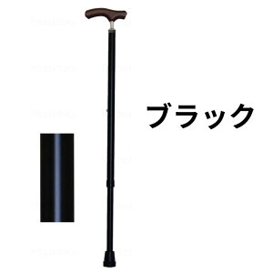 EFt@ CtXebL XlbN Lkx[VbN^Cv n  s ړ { y Lk SG}[Nt yz 009732