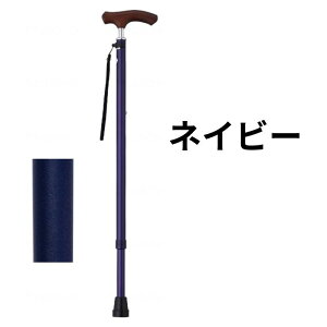 EFt@ CtXebL XlbN Lkx[VbN^Cv n  s ړ { y Lk SG}[Nt yz 009732