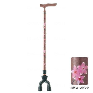  쏊 4_    ׌^lbN  ԕ ubN sN A~MIXl_X[^Cv 75MA lC  y ₷ J[{