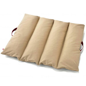 T|eB x[W W^Cv CmAbNrO KG1501 pi h~ ̈ʕϊ NbV