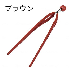 pol bN sN/CG[/O[/uE 21cm Ep VR[R[eBO i֓HƁj