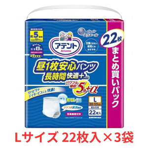 y[J[zAeg 1Spc ԉKvXjp  LTCY 22×3 lp ނ Ic LH 5