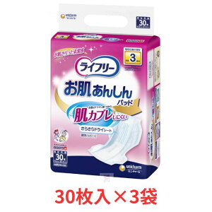 1P[X Ct[ 񂵂AƂpbh i30×3܁j jp p lpނ Qĉ߂  pc pbh Ԃ  N 