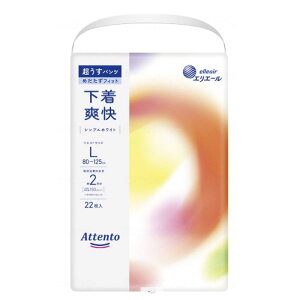 Aeg pc u VvzCg L 22 pc^Cv 剤 GG[ ֑΍ AR΍ ݑ { nr