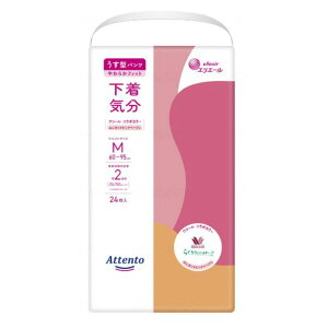 Aeg ^pc C GKgsNx[W MTCY 24 pc^Cv 剤  ނ pc pi ֑΍ AR΍ ݑ { nr