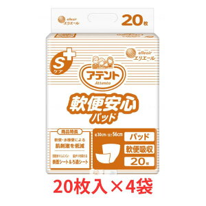 1P[X Aeg SPAֈSpbh 1P[X(20×4܁j  剤 ނ Qĉ߂ Ic pbh ivL L R Sn L R    Ō