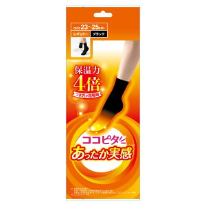 CTv wlRRs^  N[ n ubN 23-25cm { (bOEH[}[ ₦  ӂ͂  \bNX)