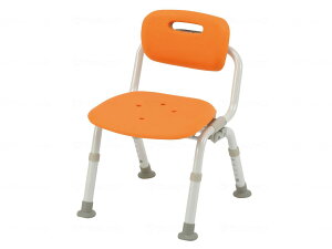 V[`FA [NA] ~h肽N PN-L42121V[Y