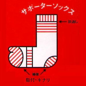 �yUMENOSONO�z�����T�|�[�^�[�t�B�b�g�w�t 5���g�y24�`27cm�z