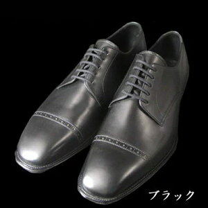 ːC/OTSUKA M-5(I[cJM-5)M5-101 OHXg[g`bv ubNE_[NuE(EZ)amCEvC(Y/rWlXV[Y)/ObhC[EFg@/U[\[//V