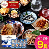 母の日 楽天グルメ大賞4度！ おつまみセット ギフト 【 おつまみ ベスト9ナイン 】 母の日ギフト2026 父…
