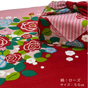 C~ 50cm 킢 p TCY C~ ٓ ٓ qǂ w Z ʋ ʊw a ԕ o ~U a v[g `obO sy |Cg fBAfB 