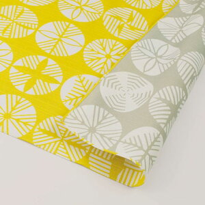 C~ 50cm ނ ɍl ٓ ٓ   o[Vu  a C~ { `NX a v[g |Cg    iF j A 