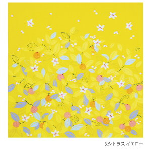 ނ Ђ߂ނ C~ 70 I[KjbN   { C~obO GRobO   ̏d ꏡ ꐶ  ^ av[g ܎O d ٓ sy j