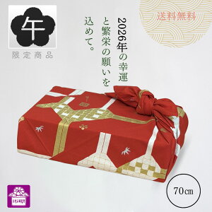 ̔ x C~ 70cm 2026N ߘa8N   ЕC~   n { j VN A N  d i v[g   o  ނ N  