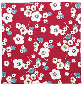 C~ 70 cm C~obO _K[ a }}F v[g  j@ꏡ ꐶ ꏡp  TCY   obO { |Cg  j ٓ