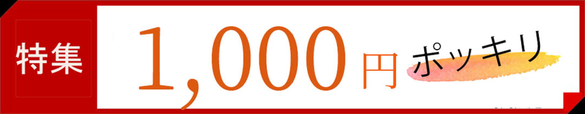 1000円ポッキリ