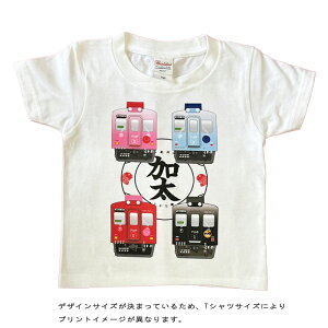 q S TVc d LbY  q y C ߂łł񂵂 z  S  dԍD v[g a j w ct ۈ牀  ݌ tVc Mtg  