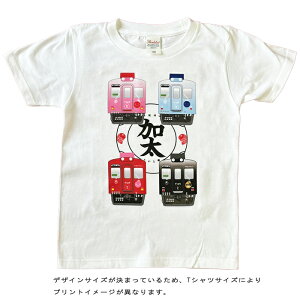 q S TVc d LbY  q y C ߂łł񂵂 z  S  dԍD v[g a j w ct ۈ牀  ݌ tVc Mtg  