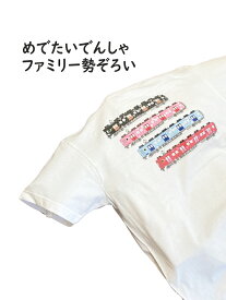 電車 tシャツ キッズ 半袖 電車 加太さかな線 後プリントtシャツ 南海 めでたい電車 和歌山 観光列車 孫 ペア お揃い 鉄道 グッズ 綿 白 幼稚園 小学生 保育園 プレゼント 祝い 130 140 夏 夏 運動会