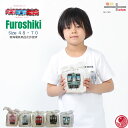 【新発売】 電車 風呂敷 70cm 50cm 1000円 ポッキリ めでたい電車 南海 子供 鉄道 お弁当包み 一升餅 着換え 一生餅 幼稚園 保育園 綿 誕生日 プレゼント 孫 お包み研究所 風呂敷 ギフト 許諾済 夏 旅行