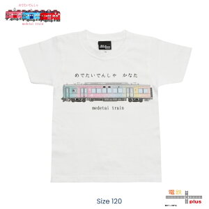 q S TVc yVz d TVc LbY  q C ߂łd  ct w ۈ牀 dԍD a v[g j  ݌ tVc Mtg  H 